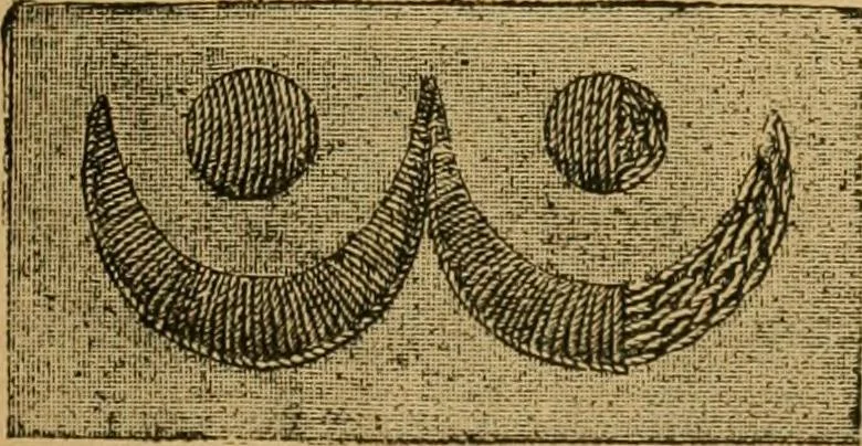 An illustration from Ladies's work for pleasure and profit, 1894, leaf 46