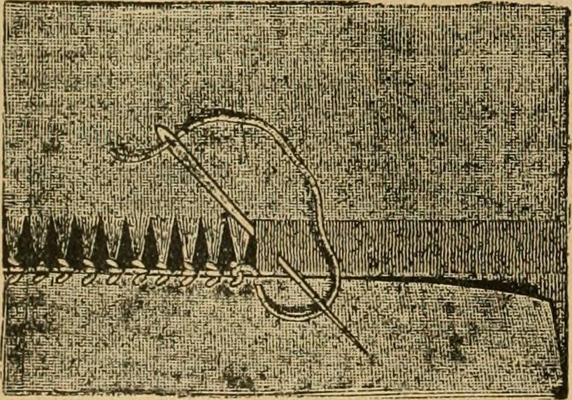 An illustration from Ladies's work for pleasure and profit, 1894, leaf 49