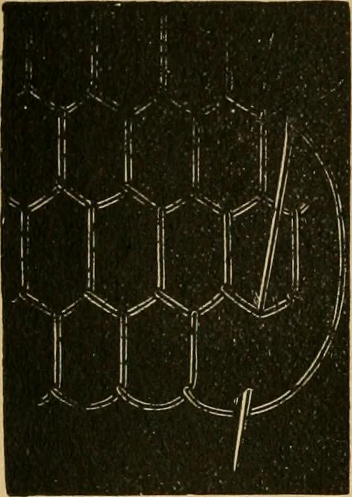 An illustration from Ladies's work for pleasure and profit, 1894, leaf 53