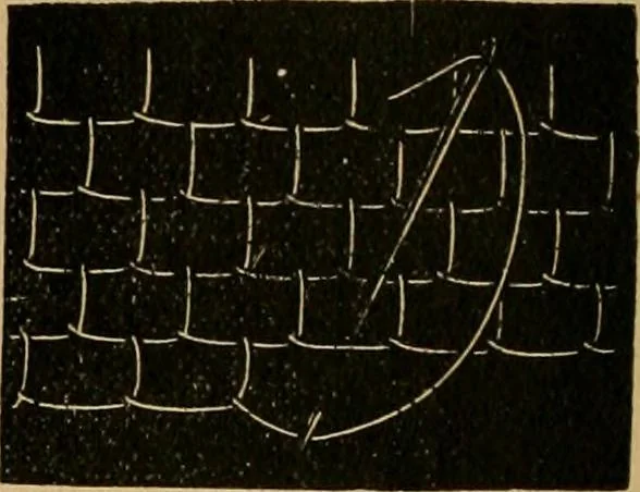 An illustration from Ladies's work for pleasure and profit, 1894, leaf 53