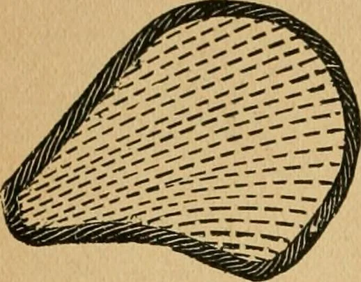 An illustration from Ladies's work for pleasure and profit, 1894, leaf 55