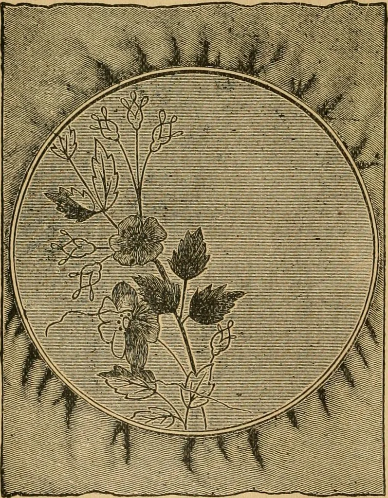 An illustration from Ladies's work for pleasure and profit, 1894, leaf 67