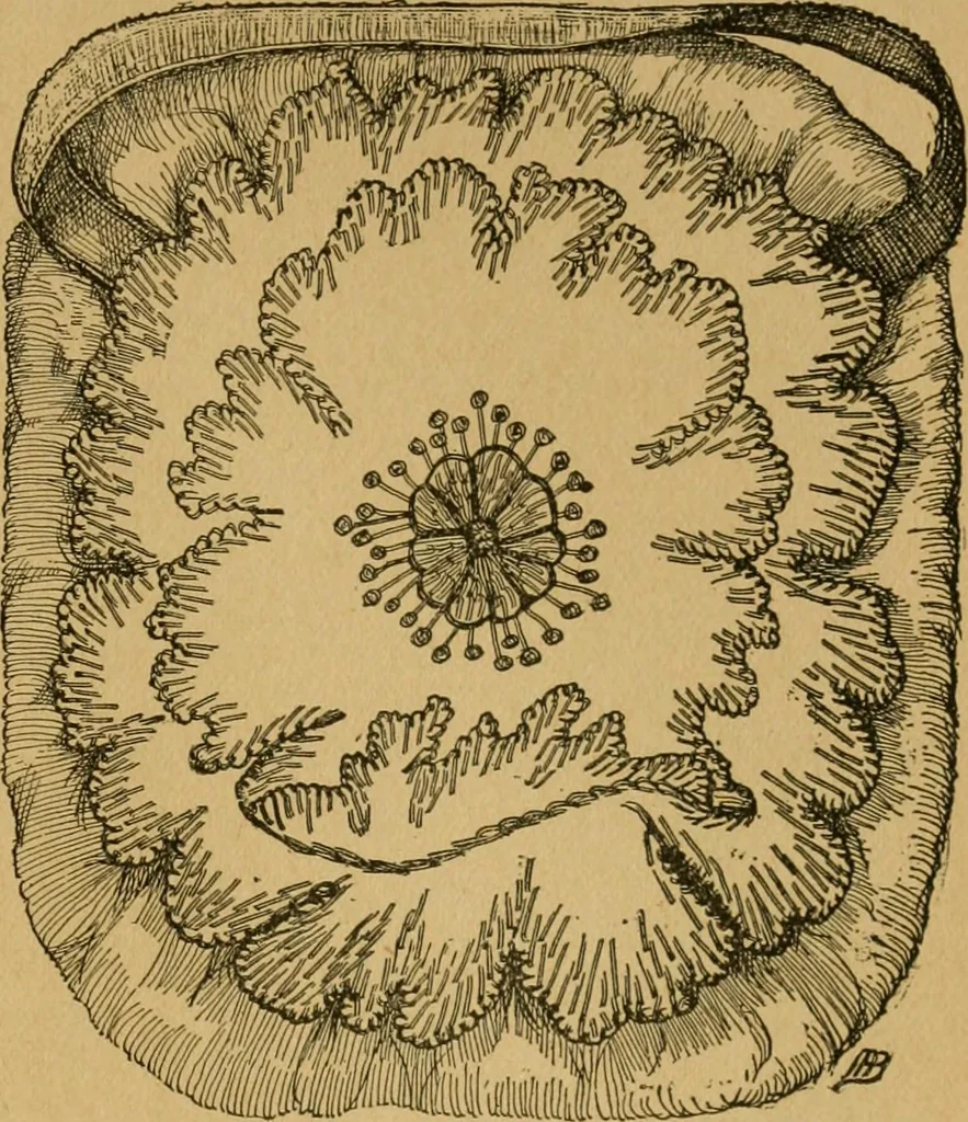 An illustration from Ladies's work for pleasure and profit, 1894, leaf 68