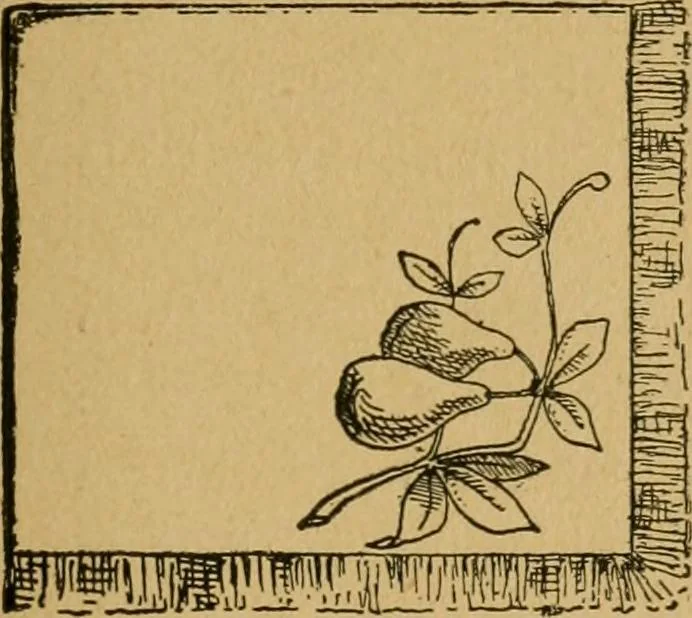 An illustration from Ladies's work for pleasure and profit, 1894, leaf 88