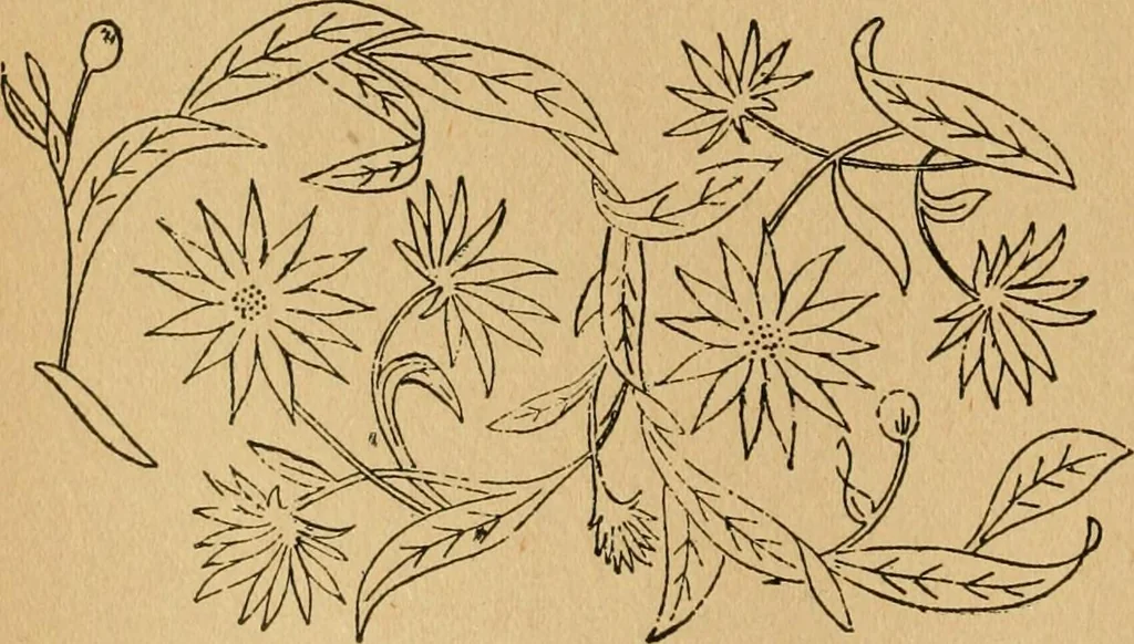 An illustration from Ladies's work for pleasure and profit, 1894, leaf 89
