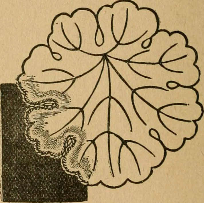 An illustration from Ladies's work for pleasure and profit, 1894, leaf 91