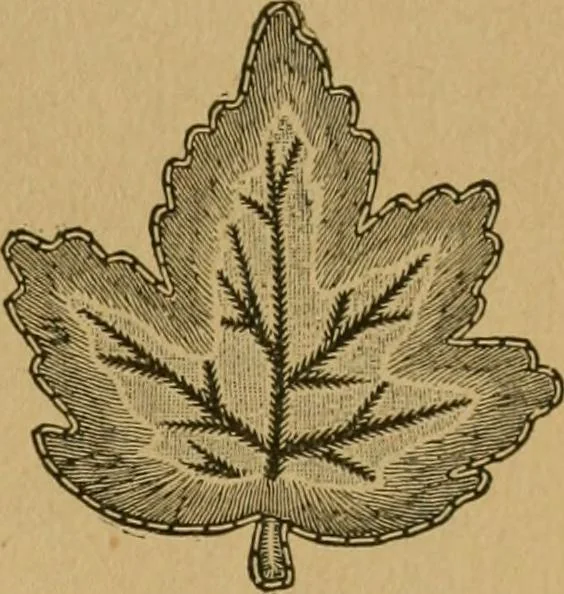 An illustration from Ladies's work for pleasure and profit, 1894, leaf 92