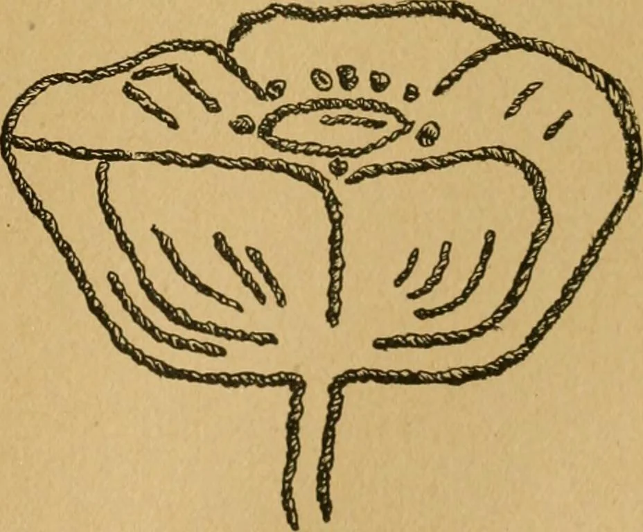 An illustration from Ladies's work for pleasure and profit, 1894, leaf 98