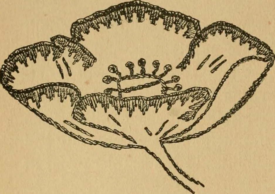 An illustration from Ladies's work for pleasure and profit, 1894, leaf 99