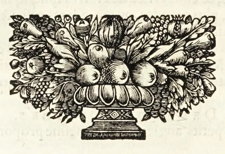 An illustration from La dioptriqve ocvlaire, ov, La theoriqve, la positive, et la mechaniqve, de l'ocvlaire dioptriqve en tovtes ses especes, 1671, leaf 104