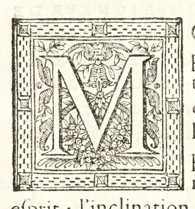 An illustration from La dioptriqve ocvlaire, ov, La theoriqve, la positive, et la mechaniqve, de l'ocvlaire dioptriqve en tovtes ses especes, 1671, leaf 11