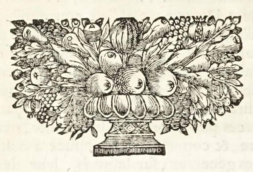 An illustration from La dioptriqve ocvlaire, ov, La theoriqve, la positive, et la mechaniqve, de l'ocvlaire dioptriqve en tovtes ses especes, 1671, leaf 16