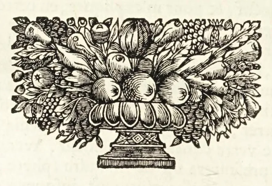 An illustration from La dioptriqve ocvlaire, ov, La theoriqve, la positive, et la mechaniqve, de l'ocvlaire dioptriqve en tovtes ses especes, 1671, leaf 224