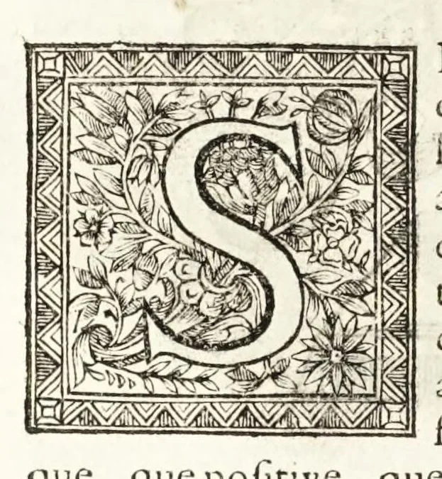 An illustration from La dioptriqve ocvlaire, ov, La theoriqve, la positive, et la mechaniqve, de l'ocvlaire dioptriqve en tovtes ses especes, 1671, leaf 274