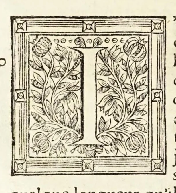 An illustration from La dioptriqve ocvlaire, ov, La theoriqve, la positive, et la mechaniqve, de l'ocvlaire dioptriqve en tovtes ses especes, 1671, leaf 466