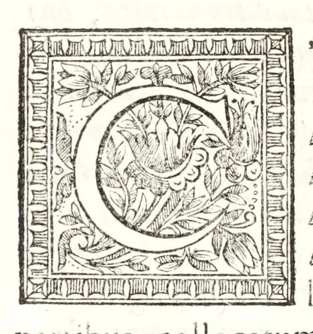An illustration from La dioptriqve ocvlaire, ov, La theoriqve, la positive, et la mechaniqve, de l'ocvlaire dioptriqve en tovtes ses especes, 1671, leaf 47