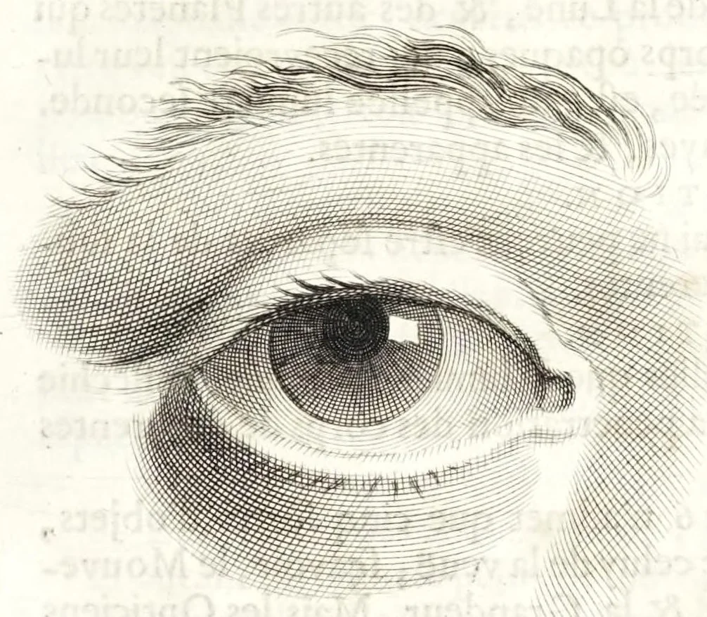 An illustration from La dioptriqve ocvlaire, ov, La theoriqve, la positive, et la mechaniqve, de l'ocvlaire dioptriqve en tovtes ses especes, 1671, leaf 51