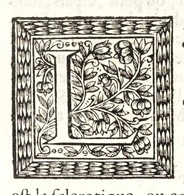 An illustration from La dioptriqve ocvlaire, ov, La theoriqve, la positive, et la mechaniqve, de l'ocvlaire dioptriqve en tovtes ses especes, 1671, leaf 51