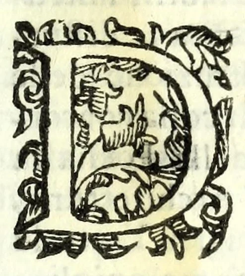 An illustration from La discordia confvsa : rappresentata con macchine, e musica, e combattuta in Ferrara nel Passaggio, della serma. Anna de Medici, nata principessa di Toscana, arcidvchessa d'Isprvch, 1646, leaf 11