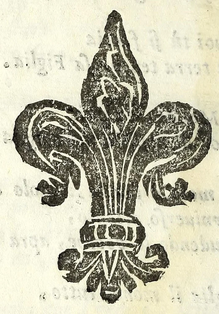 An illustration from La discordia confvsa : rappresentata con macchine, e musica, e combattuta in Ferrara nel Passaggio, della serma. Anna de Medici, nata principessa di Toscana, arcidvchessa d'Isprvch, 1646, leaf 26