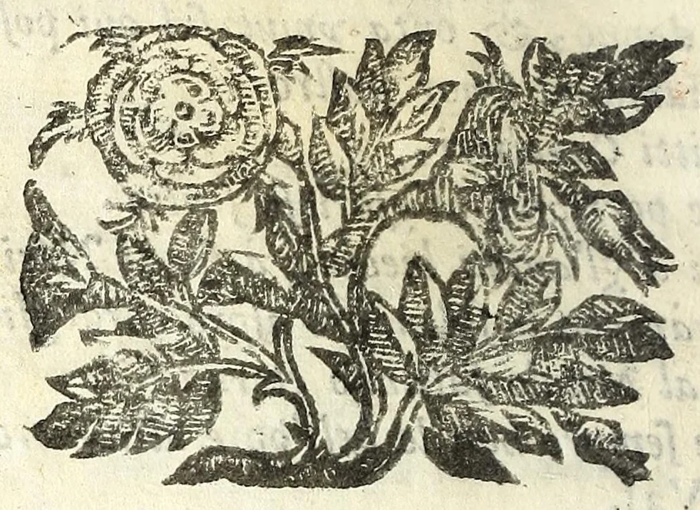 An illustration from La discordia confvsa : rappresentata con macchine, e musica, e combattuta in Ferrara nel Passaggio, della serma. Anna de Medici, nata principessa di Toscana, arcidvchessa d'Isprvch, 1646, leaf 68