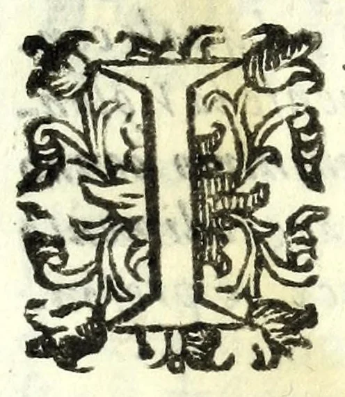An illustration from La discordia confvsa : rappresentata con macchine, e musica, e combattuta in Ferrara nel Passaggio, della serma. Anna de Medici, nata principessa di Toscana, arcidvchessa d'Isprvch, 1646, leaf 9