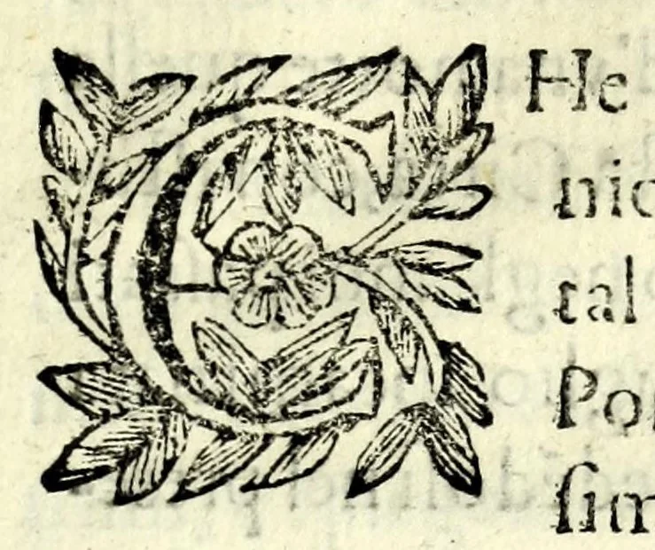 An illustration from La distruttione d'Alba : rappresentata in Bologna da gl'illustrissimi signori confaloniere di giustitia, et anziani, del quarto bimestere MDCLXXIII. in occasione della festa della porchetta, et à medesimi signori dedicata, 1673, leaf 9