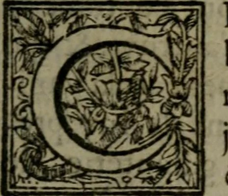 An illustration from La doctrine des moeurs : qui represente en cent tableaux la différence des passions, et enseigne la manière de parvenir à la sagesse universelle, 1688, leaf 204