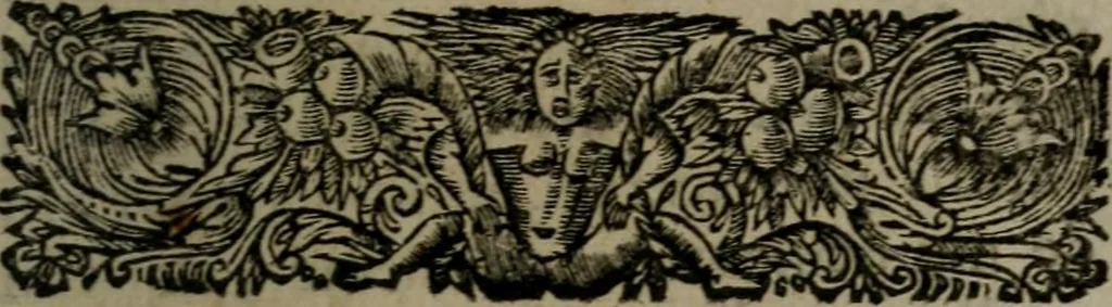 An illustration from La doctrine des moeurs : qui represente en cent tableaux la différence des passions, et enseigne la manière de parvenir à la sagesse universelle, 1688, leaf 216