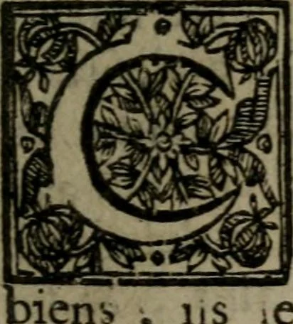 An illustration from La doctrine des moeurs : qui represente en cent tableaux la différence des passions, et enseigne la manière de parvenir à la sagesse universelle, 1688, leaf 224