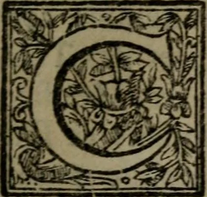An illustration from La doctrine des moeurs : qui represente en cent tableaux la différence des passions, et enseigne la manière de parvenir à la sagesse universelle, 1688, leaf 228