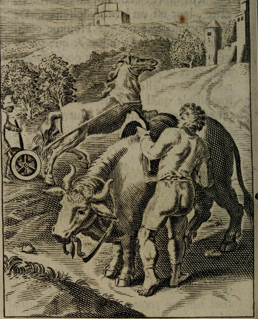 An illustration from La doctrine des moeurs : qui represente en cent tableaux la différence des passions, et enseigne la manière de parvenir à la sagesse universelle, 1688, leaf 265