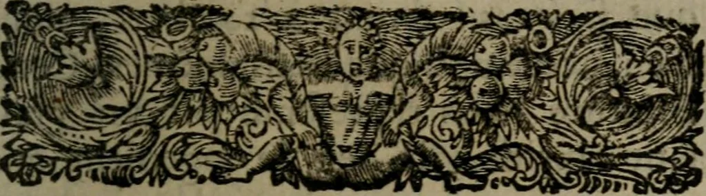 An illustration from La doctrine des moeurs : qui represente en cent tableaux la différence des passions, et enseigne la manière de parvenir à la sagesse universelle, 1688, leaf 266