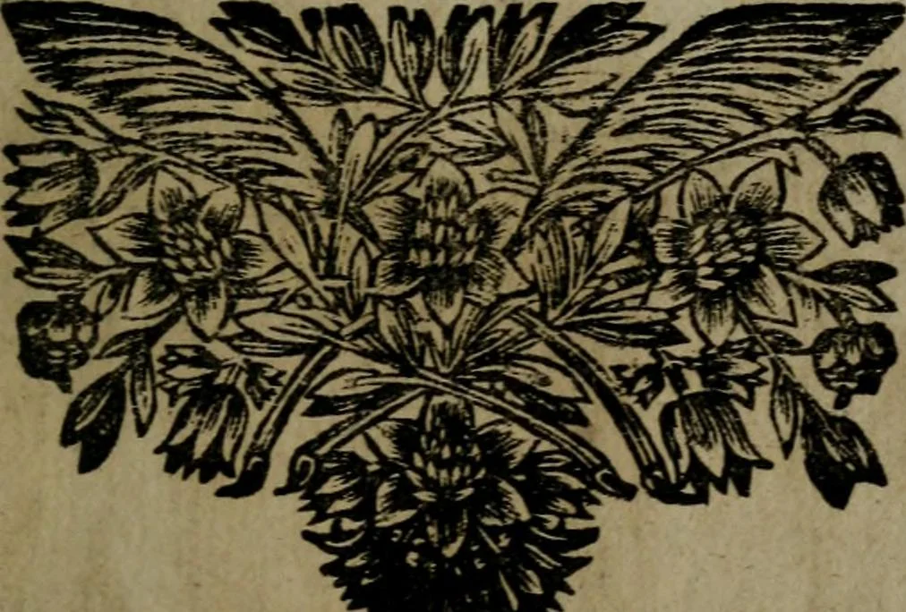 An illustration from La doctrine des moeurs : qui represente en cent tableaux la différence des passions, et enseigne la manière de parvenir à la sagesse universelle, 1688, leaf 268