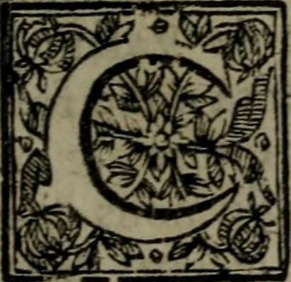 An illustration from La doctrine des moeurs : qui represente en cent tableaux la différence des passions, et enseigne la manière de parvenir à la sagesse universelle, 1688, leaf 346