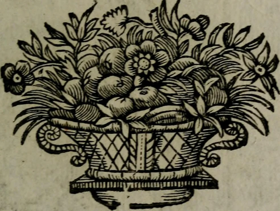 An illustration from La doctrine des moeurs : qui represente en cent tableaux la différence des passions, et enseigne la manière de parvenir à la sagesse universelle, 1688, leaf 348