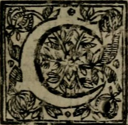 An illustration from La doctrine des moeurs : qui represente en cent tableaux la différence des passions, et enseigne la manière de parvenir à la sagesse universelle, 1688, leaf 394