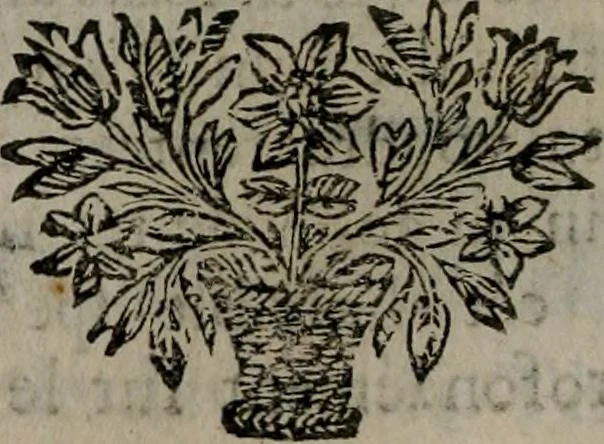 An illustration from La doctrine des moeurs : qui represente en cent tableaux la différence des passions, et enseigne la manière de parvenir à la sagesse universelle, 1688, leaf 89