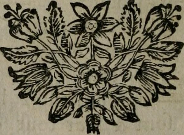 An illustration from La doctrine des moeurs : qui represente en cent tableaux la différence des passions, et enseigne la manière de parvenir à la sagesse universelle, 1688, leaf 97