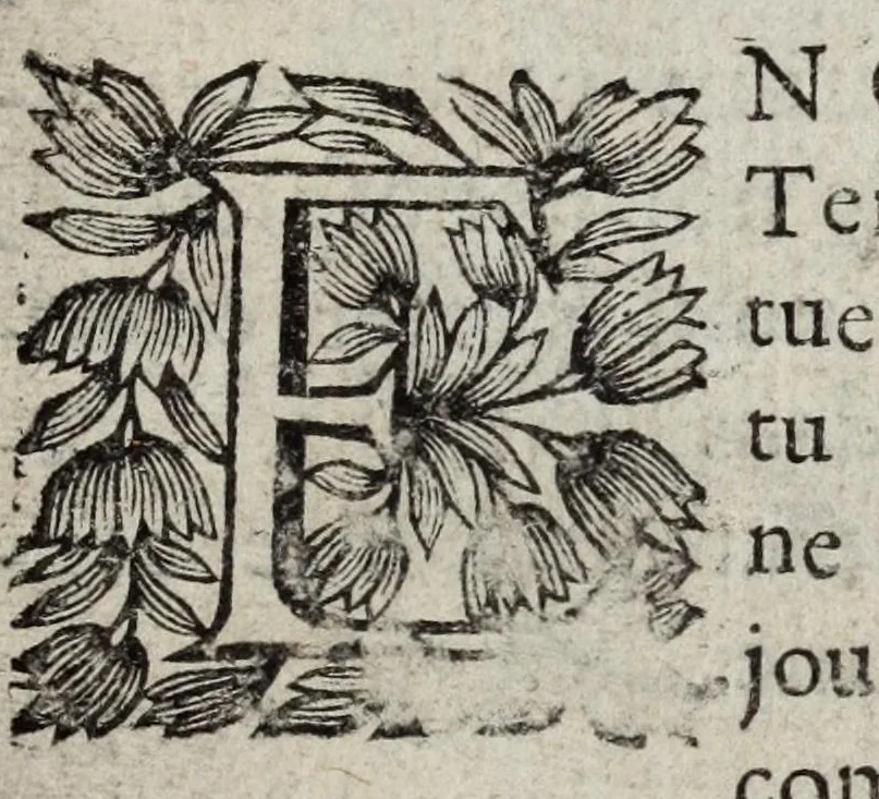 An illustration from La doctrine des moeurs : ou sont representés en cent tableaux la difference des passions, qui enseignent la maniere de parvenir a la sagesse universelle, 1682, leaf 365