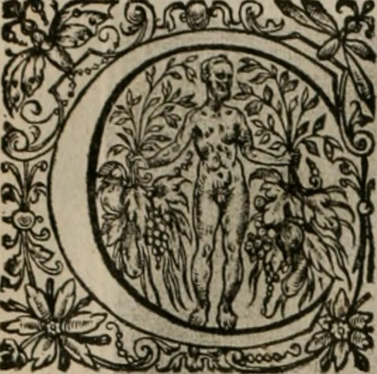An illustration from La doctrine des moeurs : tiree de la philosophie des stoiques: representee en cent tableaux. Et expliquee en cent discours pour l'instruction de la ieunesse. Au Roy, 1646, leaf 119