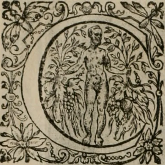 An illustration from La doctrine des moeurs : tiree de la philosophie des stoiques: representee en cent tableaux. Et expliquee en cent discours pour l'instruction de la ieunesse. Au Roy, 1646, leaf 121