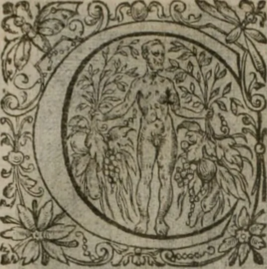 An illustration from La doctrine des moeurs : tiree de la philosophie des stoiques: representee en cent tableaux. Et expliquee en cent discours pour l'instruction de la ieunesse. Au Roy, 1646, leaf 75