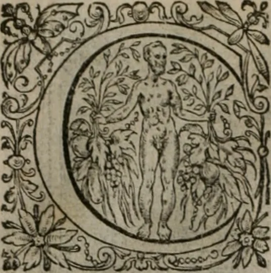 An illustration from La doctrine des moeurs : tiree de la philosophie des stoiques: representee en cent tableaux. Et expliquee en cent discours pour l'instruction de la ieunesse. Au Roy, 1646, leaf 81