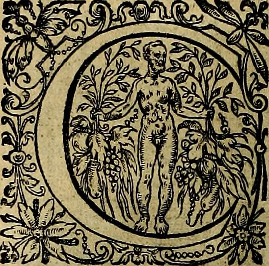 An illustration from La doctrine des moevrs, tiree de la philosophie des stoiques, representee en cent tableavx et expliqvee en cent discovrs pour l'instruction de la ieunesse, 1646, leaf 107