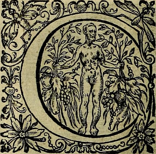 An illustration from La doctrine des moevrs, tiree de la philosophie des stoiques, representee en cent tableavx et expliqvee en cent discovrs pour l'instruction de la ieunesse, 1646, leaf 113