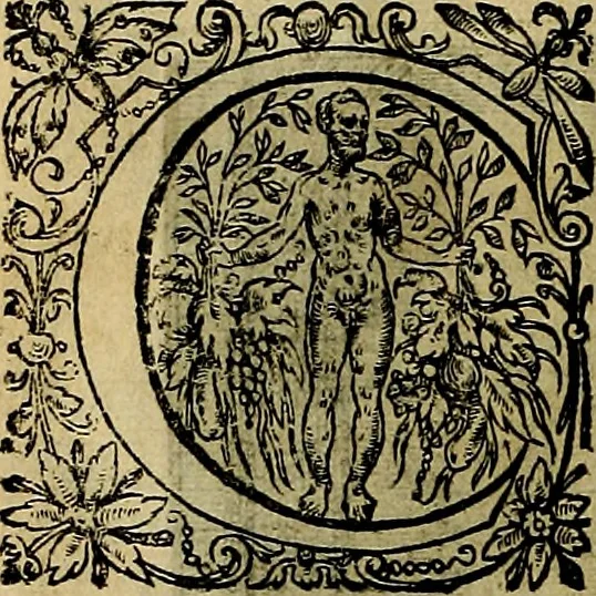 An illustration from La doctrine des moevrs, tiree de la philosophie des stoiques, representee en cent tableavx et expliqvee en cent discovrs pour l'instruction de la ieunesse, 1646, leaf 133