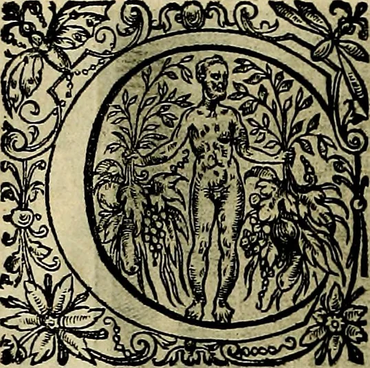 An illustration from La doctrine des moevrs, tiree de la philosophie des stoiques, representee en cent tableavx et expliqvee en cent discovrs pour l'instruction de la ieunesse, 1646, leaf 175