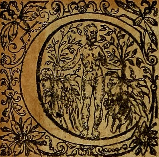 An illustration from La doctrine des moevrs, tiree de la philosophie des stoiques, representee en cent tableavx et expliqvee en cent discovrs pour l'instruction de la ieunesse, 1646, leaf 197