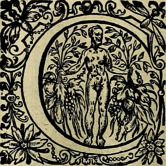 An illustration from La doctrine des moevrs, tiree de la philosophie des stoiques, representee en cent tableavx et expliqvee en cent discovrs pour l'instruction de la ieunesse, 1646, leaf 73